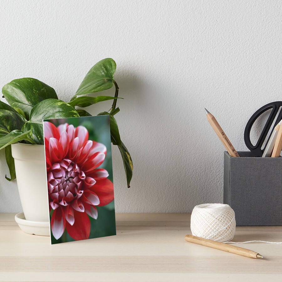 Item preview, Art Board Print designed and sold by DonnaMariePhoto.