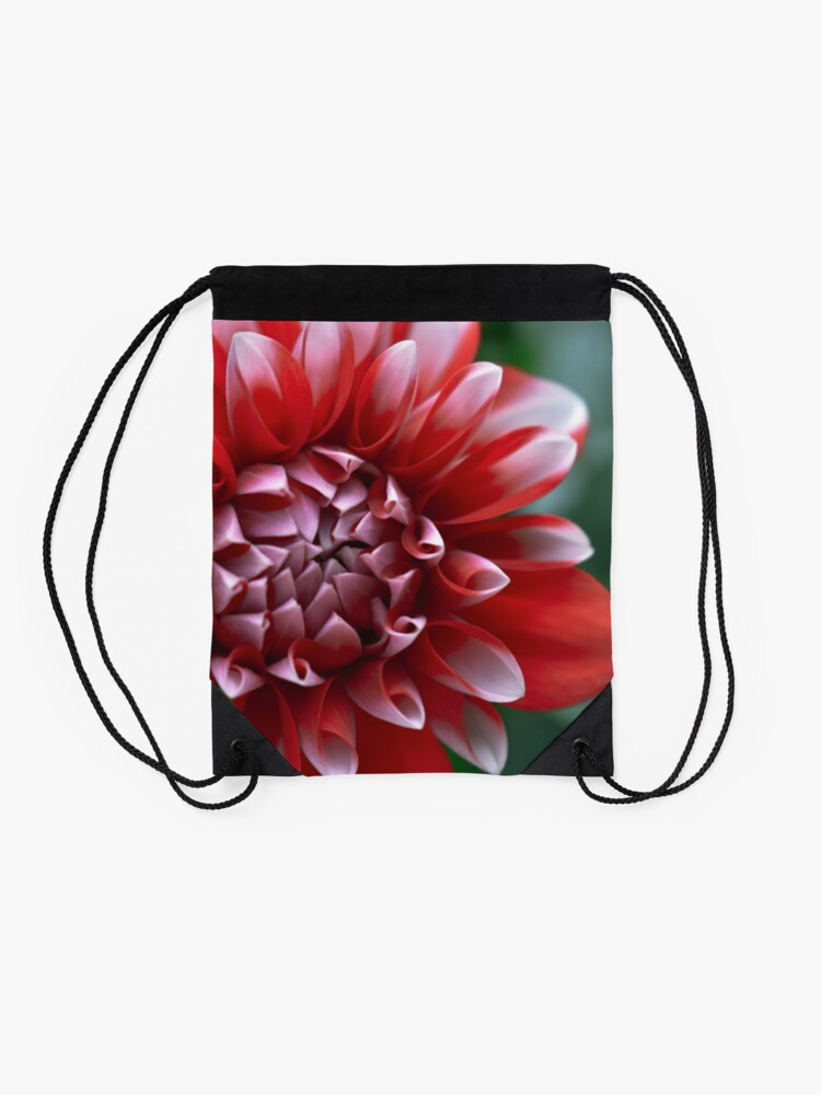 Thumbnail 2 of 3, Drawstring Bag, Red and White Petals designed and sold by DonnaMariePhoto.