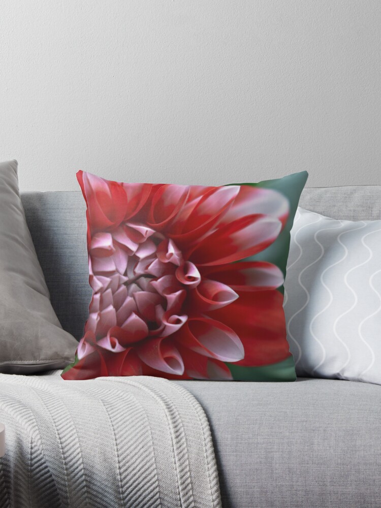 Thumbnail 1 of 4, Pillow, Red and White Petals designed and sold by DonnaMariePhoto.