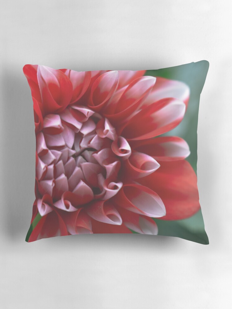 Thumbnail 3 of 4, Pillow, Red and White Petals designed and sold by DonnaMariePhoto.