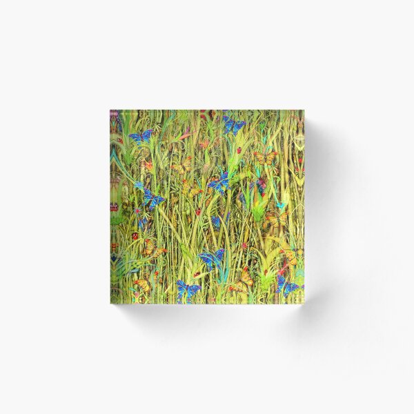 Qualias Butterflies Acrylic Block