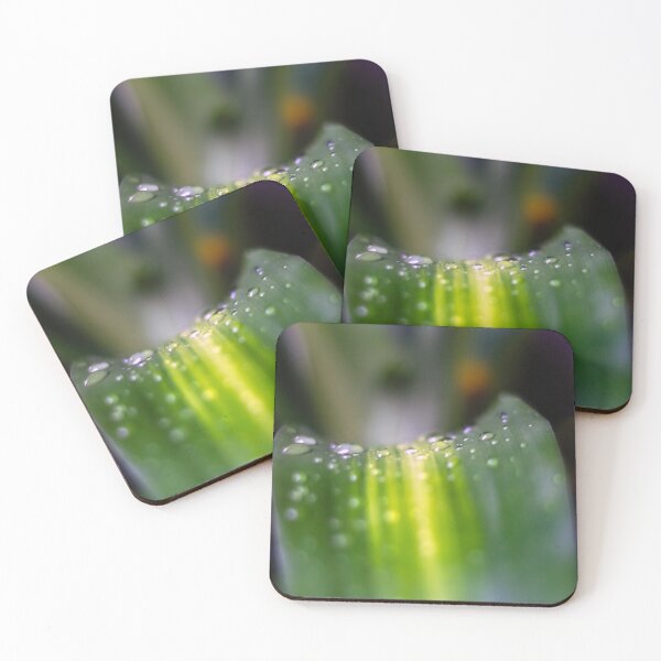 Item preview, water drops on green plant designed and sold by ricobarinas.