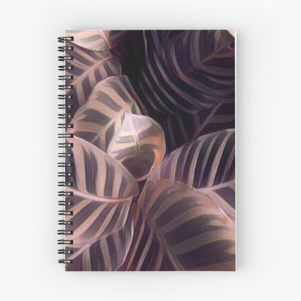 Item preview, Calathea zebrina drawing leaves. designed and sold by Sihamedtaha.