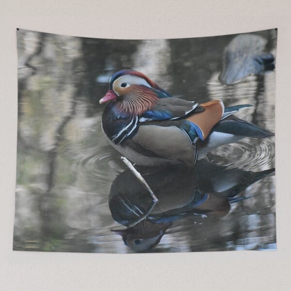 Item preview, Mandarin duck designed and sold by ReneeKennedy.