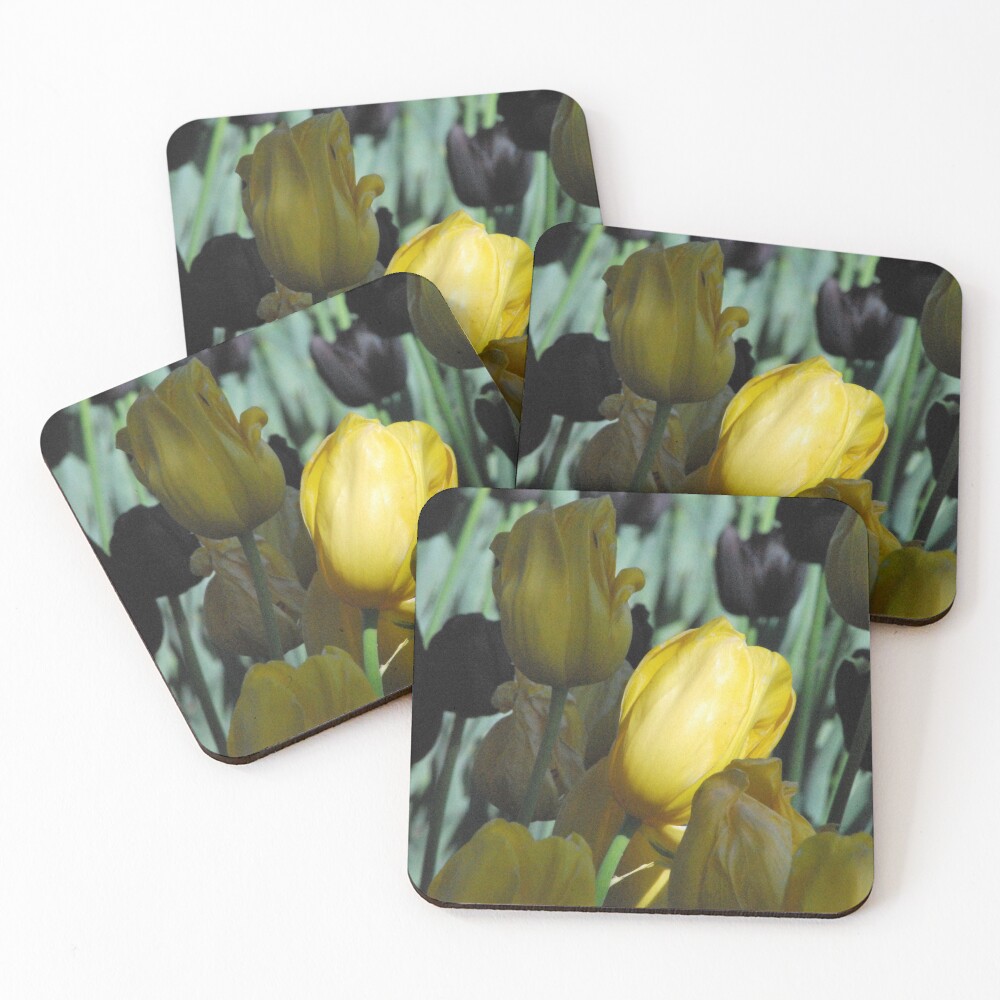 Item preview, Coasters (Set of 4) designed and sold by lozzar.