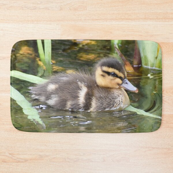 Item preview, Duckling in the Pond designed and sold by ReneeKennedy.