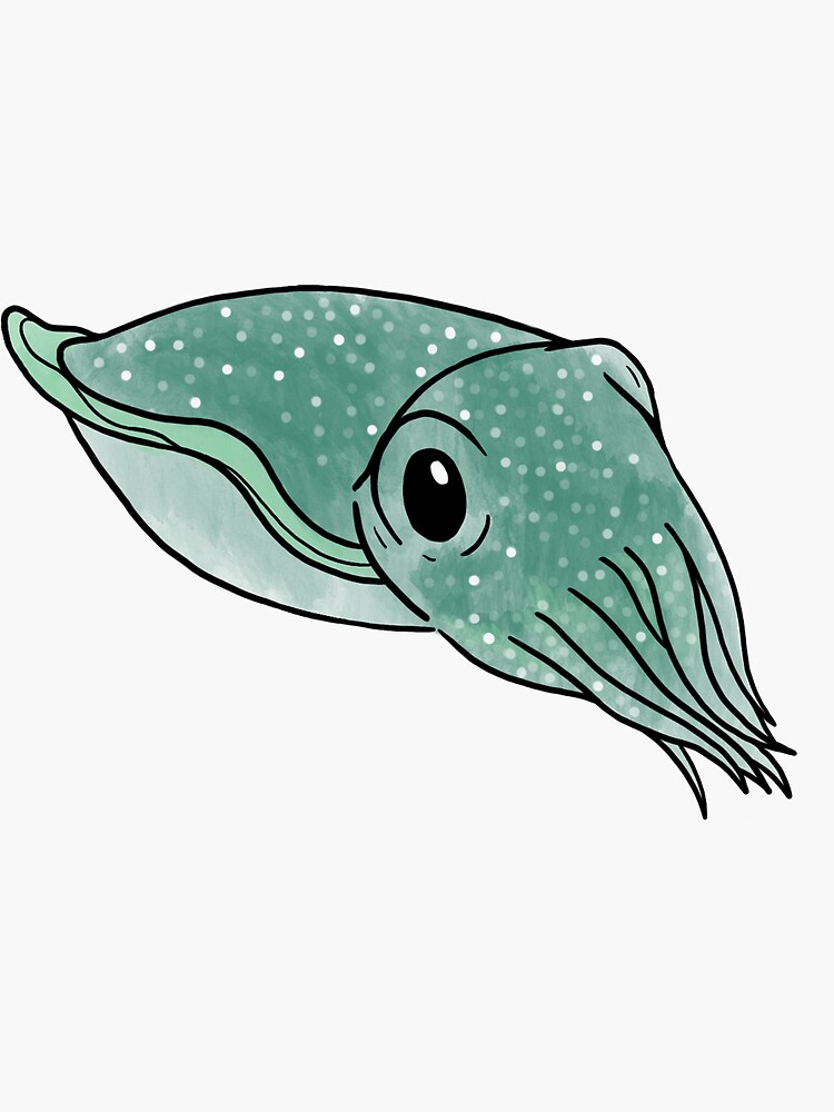 "Cute Cuttlefish" Sticker by emmaandrew | Redbubble