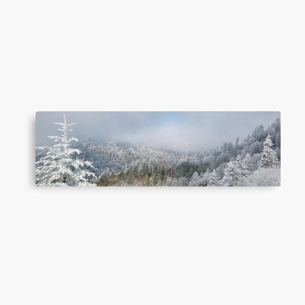 Item preview, a winter day panoramic designed and sold by dc witmer.