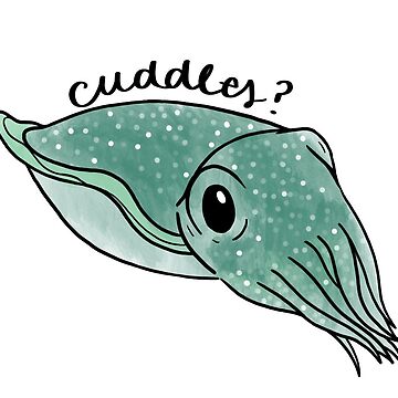 Artwork thumbnail, Cuttlefish "Cuddles" by emmaandrew