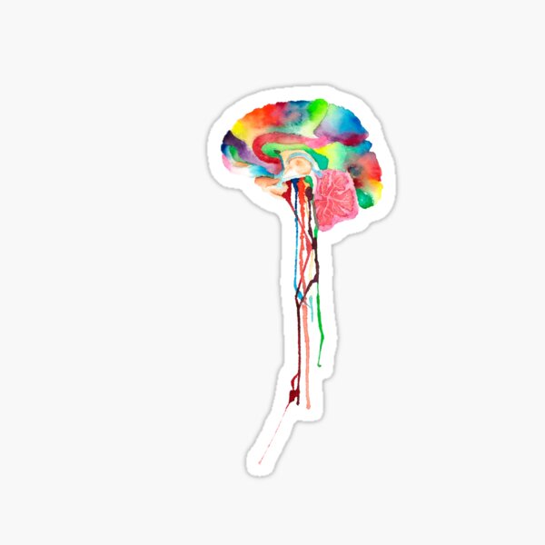 Colorful Brain Pegatina