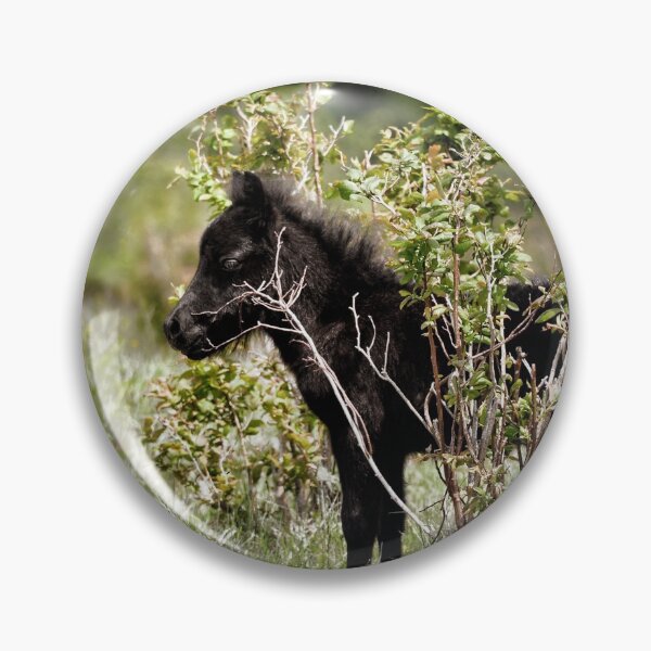 Item preview, Undercover Pony designed and sold by Karen Peron.