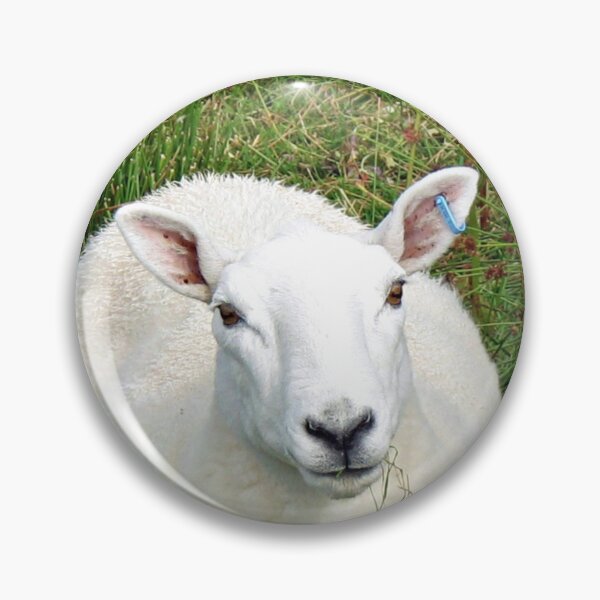 Artikelvorschau, My Woolly Friend entworfen und verkauft von BlueMoonRose.