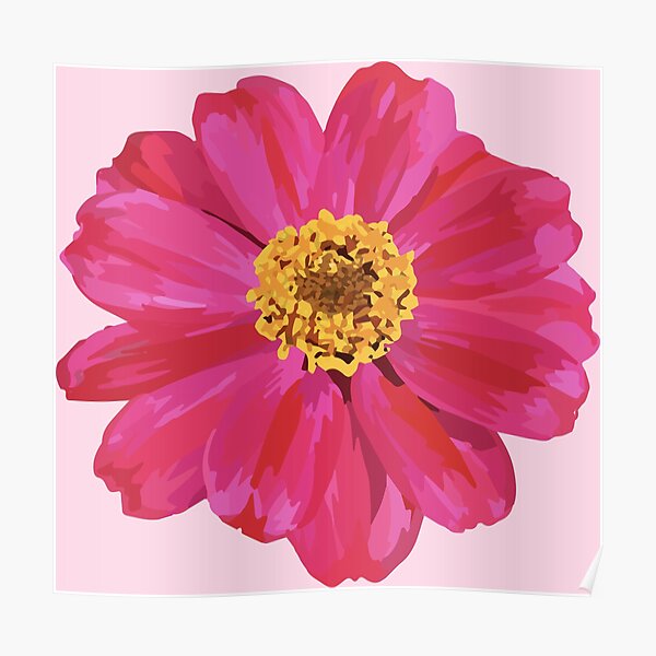 Pink Zinnia Poster