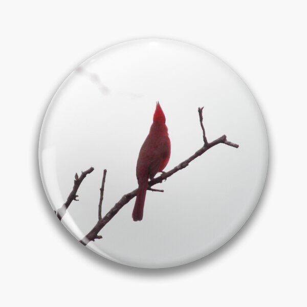 Item preview, Male Northern Cardinal (Cardinalis cardinalis) Back  designed and sold by Inuyasha907.