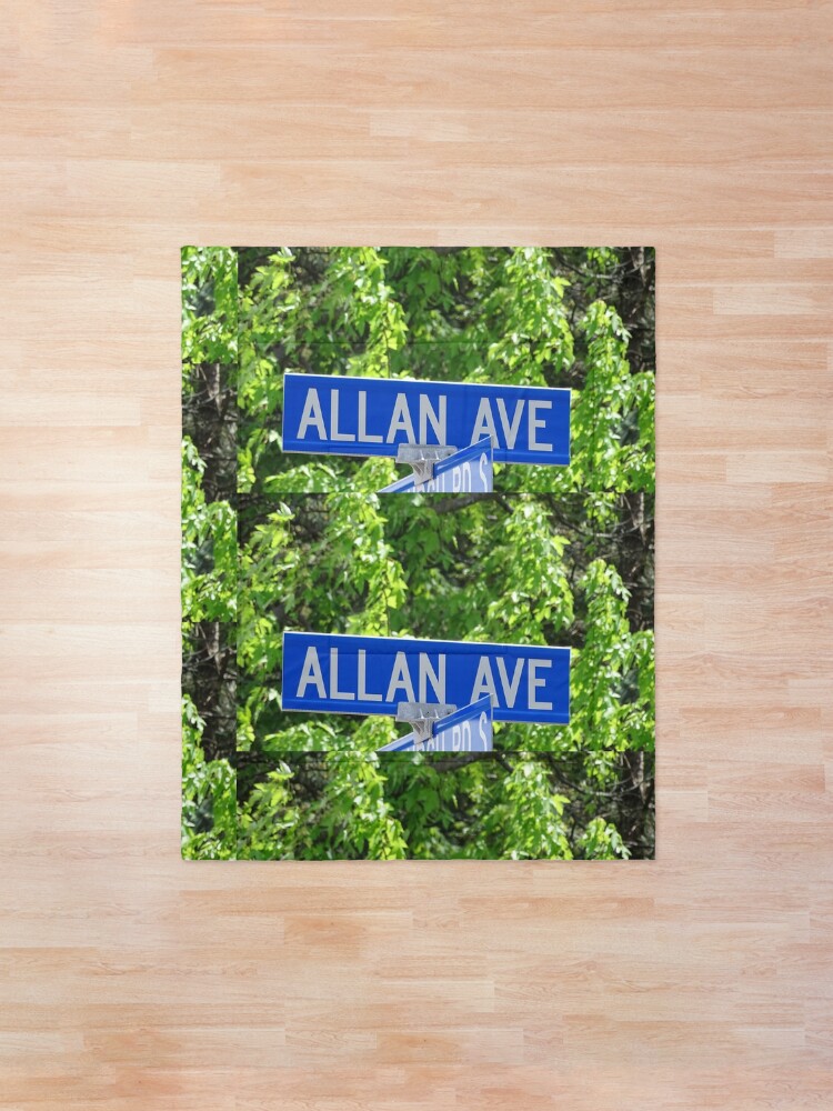 Alternate view of Allan Comforter