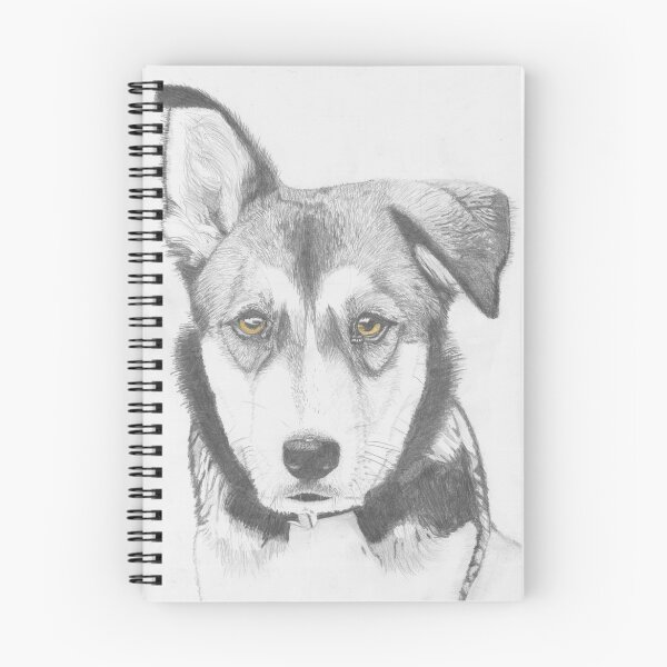 Artikelvorschau, Husky Shepherd Cross mit braunen Augen entworfen und verkauft von DavidASmith.