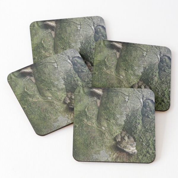 Item preview, Tree Fungus designed and sold by Autographix.