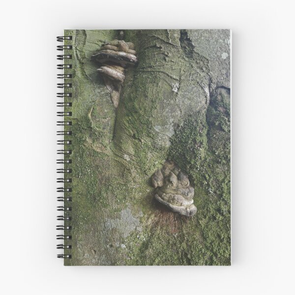 Item preview, Tree Fungus designed and sold by Autographix.