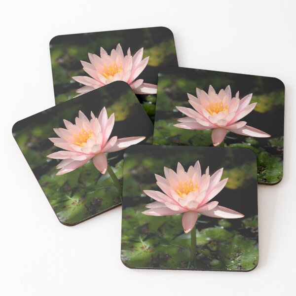 Item preview, Water Lily designed and sold by photoduque.
