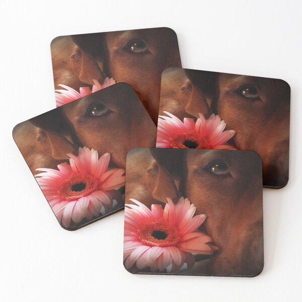 Item preview, Nina designed and sold by Kristina Gale.
