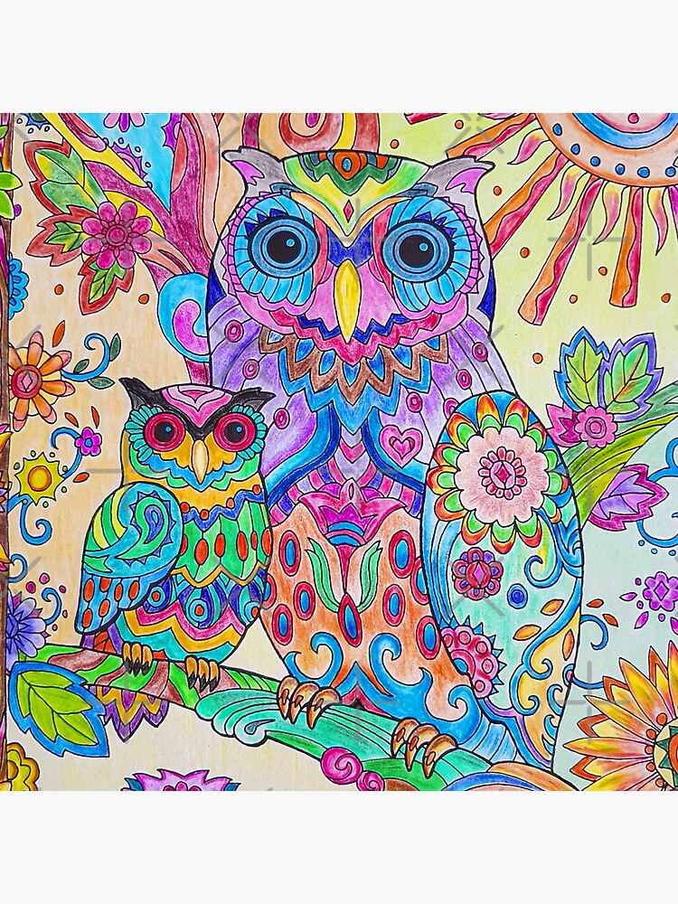 Colorful Pencil Sketch Owl Doodle Art Motif