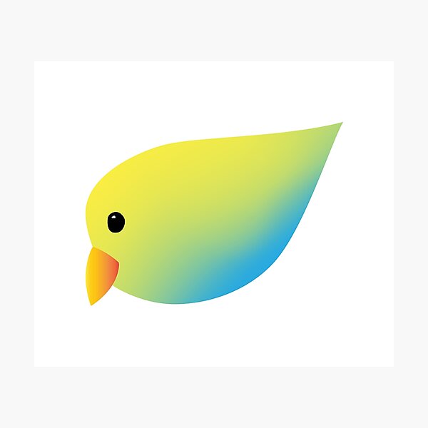 Yellow-Blue Gradient Lovebird Photographic Print