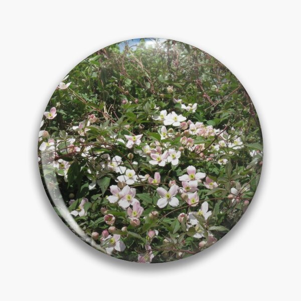 Item preview, Blossoms of Spring - Montana Clematis designed and sold by MidnightMelody.