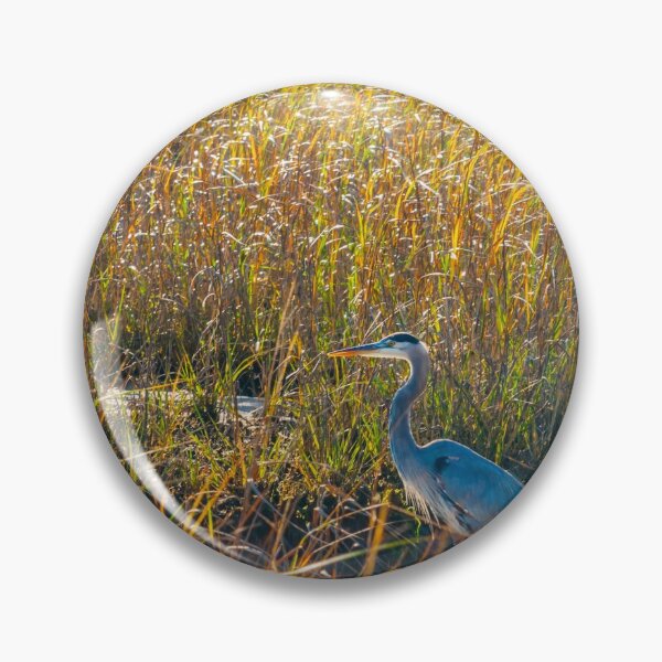 Item preview, Great Blue Heron in breeding plumage stands at the water’s edge at Hatches Harbor near Provincetown.  Looks great on phone case or as a canvas print on your wall designed and sold by Brian Scantlebury.