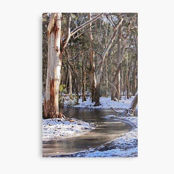 River of Ice Metal Print