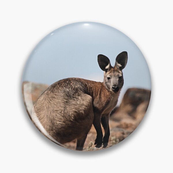 Item preview, Western Grey Kangaroo designed and sold by Carole-Anne.