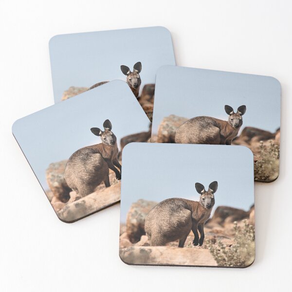 Item preview, Western Grey Kangaroo designed and sold by Carole-Anne.