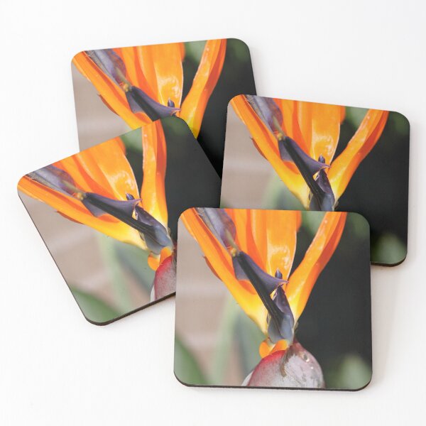 Item preview, Bird of Paradise or Crane Lily designed and sold by Carole-Anne.