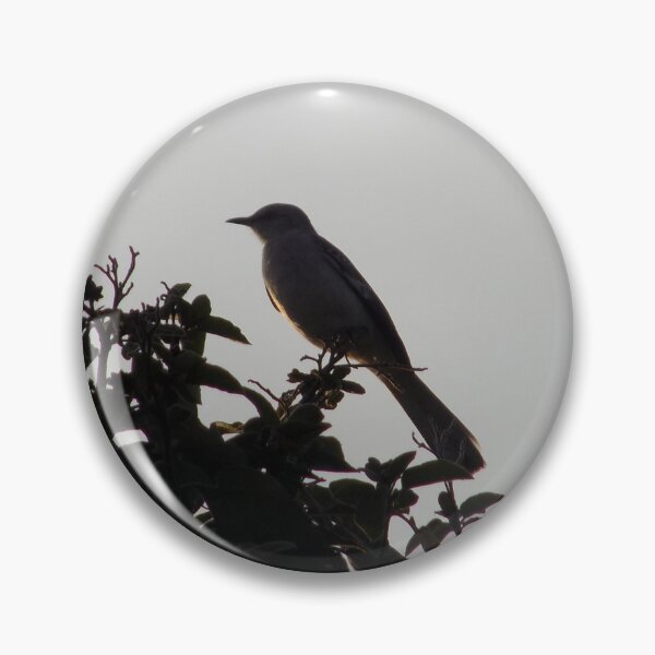 Item preview, Northern Mockingbird at Sundown designed and sold by Inuyasha907.