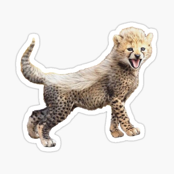 Baby Cheetah Sticker