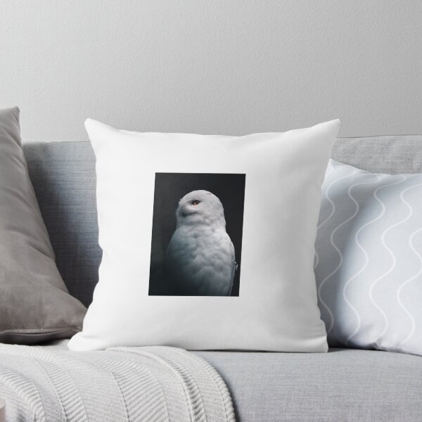 Item preview, Magic owl designed and sold by atichot5.