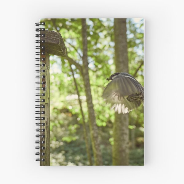Item preview, Arrivals and Departures 1. Great tit designed and sold by Jouko Lehto Photography.