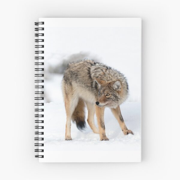 Item preview, Coyote in Winter designed and sold by TheCurators.