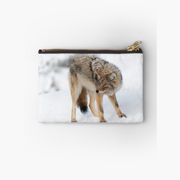 Item preview, Coyote in Winter designed and sold by TheCurators.