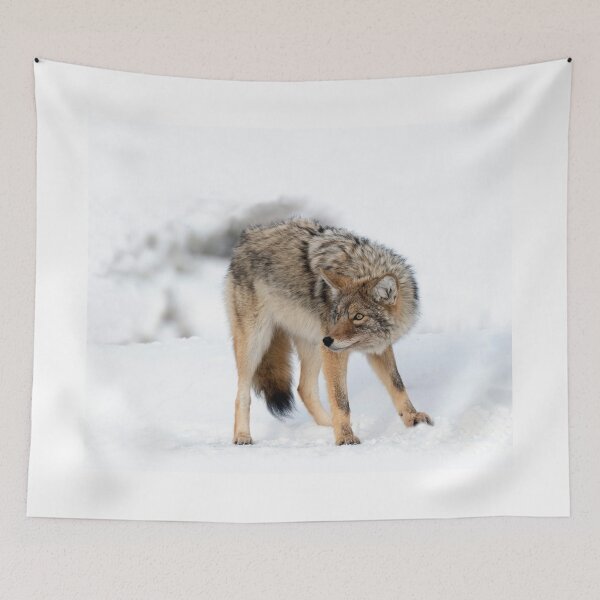 Item preview, Coyote in Winter designed and sold by TheCurators.