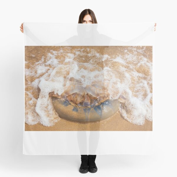 Jelly Bay Scarves Redbubble - jelly bay scarves redbubble jellyfish sandwich roblox id Jelly Bay Scarves Redbubble - jellyfish sandwich roblox id