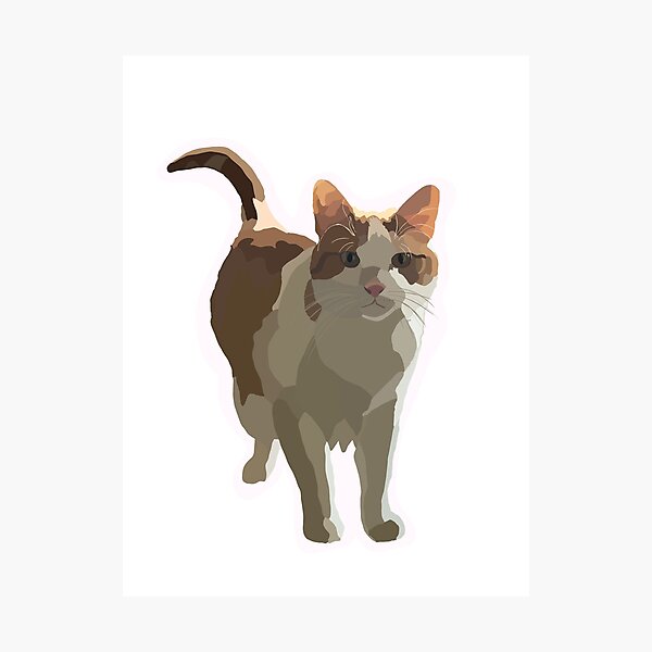Item preview, Gato atigrado blanco y naranja designed and sold by cmartin2396.