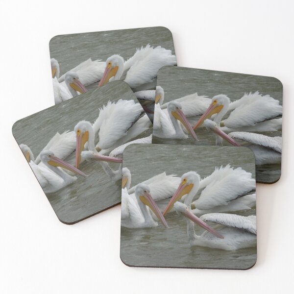 Item preview, American White Pelicans (Pelecanus erythrorhynchos) Preening  designed and sold by Inuyasha907.