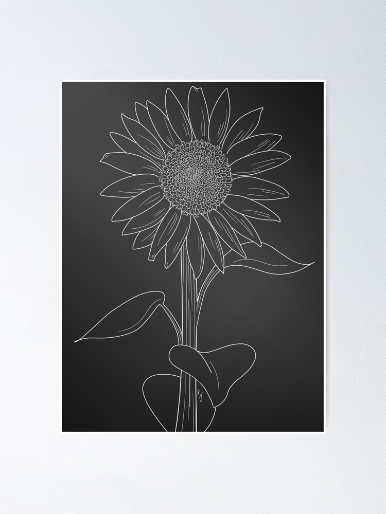 Kreide Sonnenblume Poster Von Sorioffantasy Redbubble