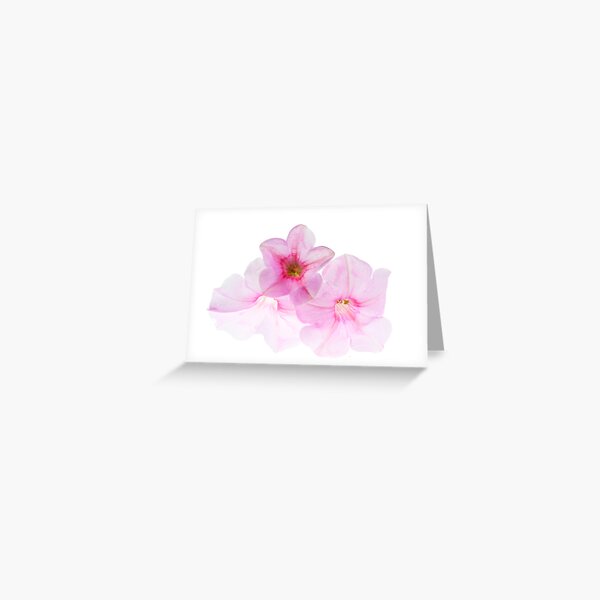 Petunia's Greeting Card