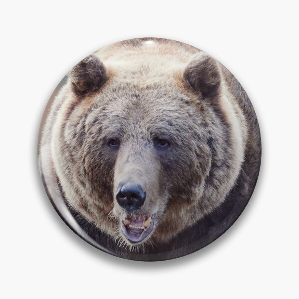 Item preview, Is there a dentist around? designed and sold by Jouko Lehto Photography.