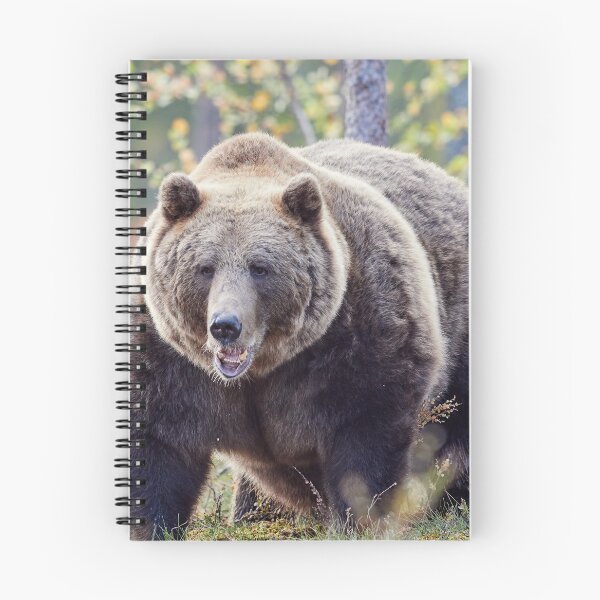 Item preview, Is there a dentist around? designed and sold by Jouko Lehto Photography.