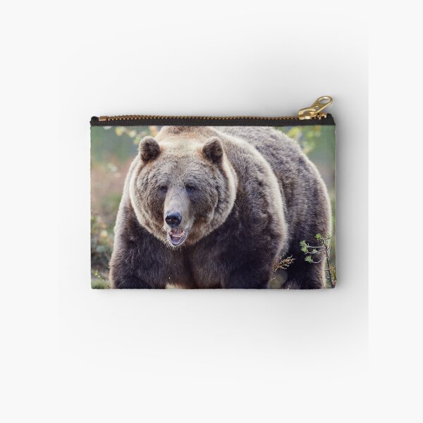 Item preview, Is there a dentist around? designed and sold by Jouko Lehto Photography.
