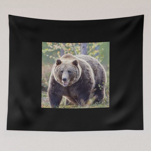 Item preview, Is there a dentist around? designed and sold by Jouko Lehto Photography.