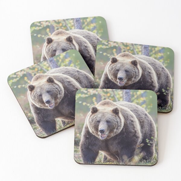 Item preview, Is there a dentist around? designed and sold by Jouko Lehto Photography.