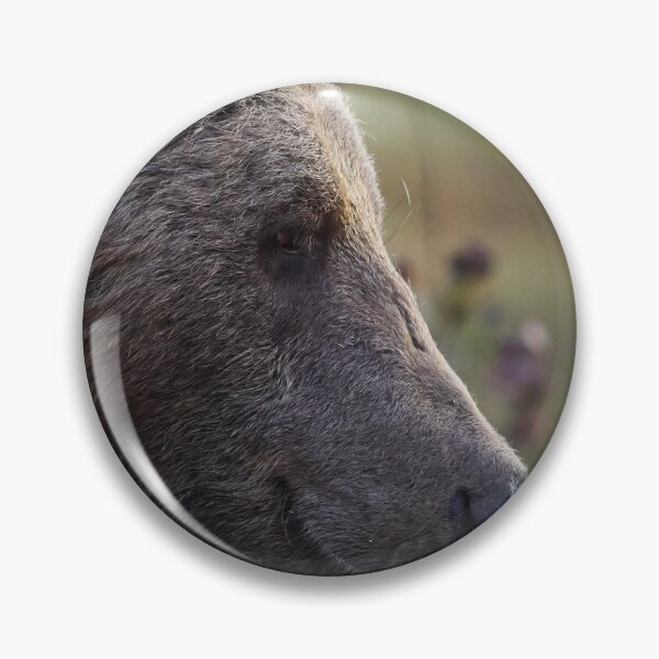 Item preview, Always remember to smile. Brown Bear designed and sold by Jouko Lehto Photography.
